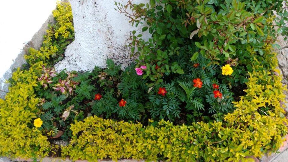 Pousada Sitio Sossego Correas Экстерьер фото